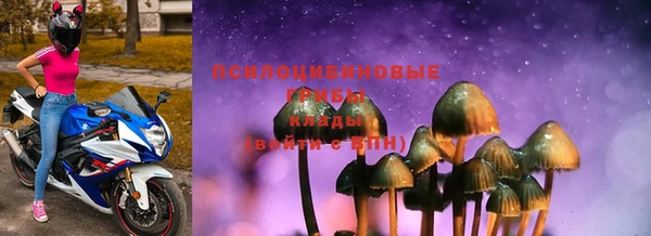 прущие крисы Белоозёрский