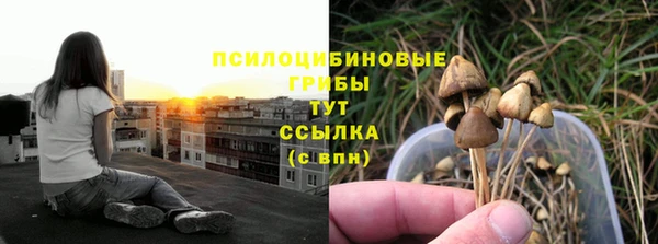 индика Беломорск