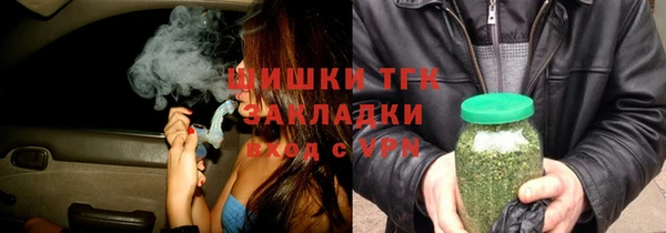 индика Беломорск