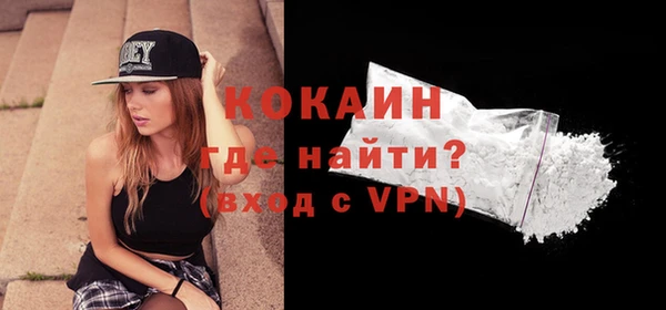 индика Беломорск