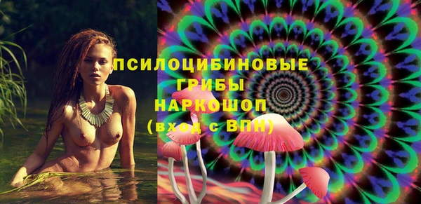 индика Беломорск