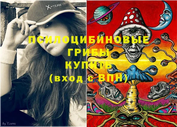 индика Беломорск