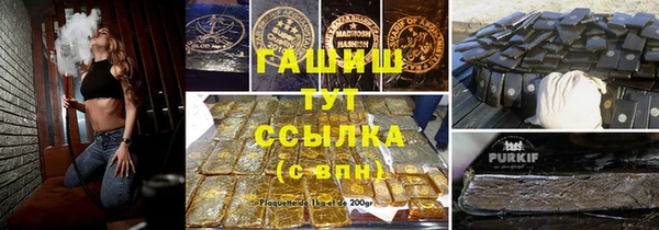 индика Беломорск