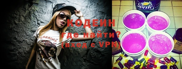 индика Беломорск