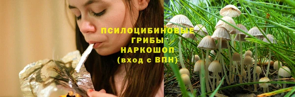 прущие крисы Белоозёрский