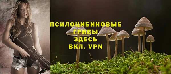 прущие крисы Белоозёрский